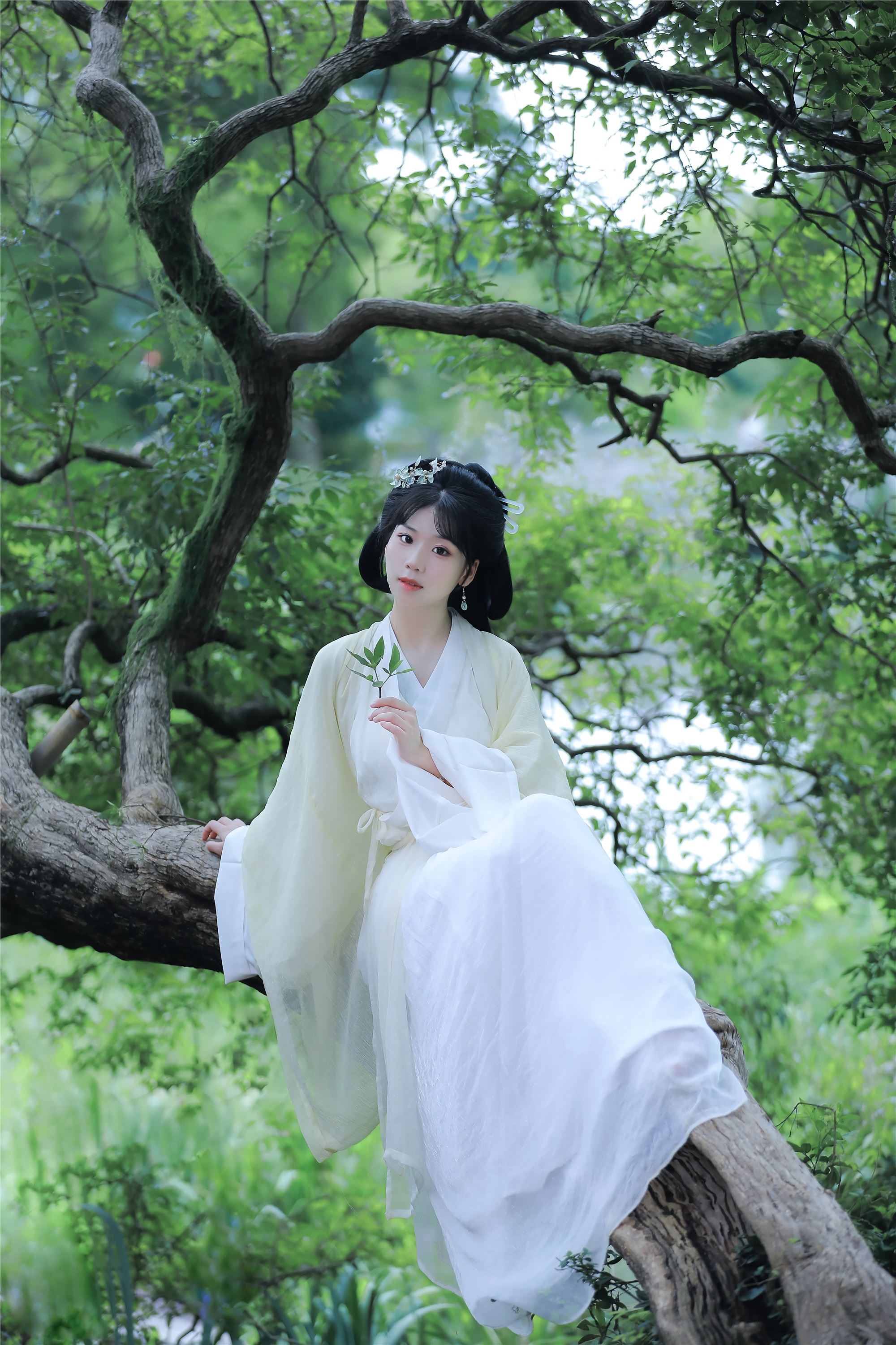 YITUYU艺图语 2025.01.20 关山渡 周周Ay